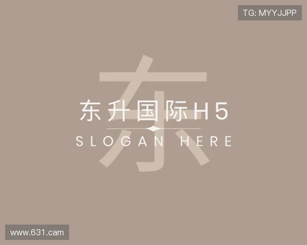 概述东升国际h5