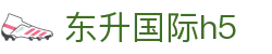东升国际h5